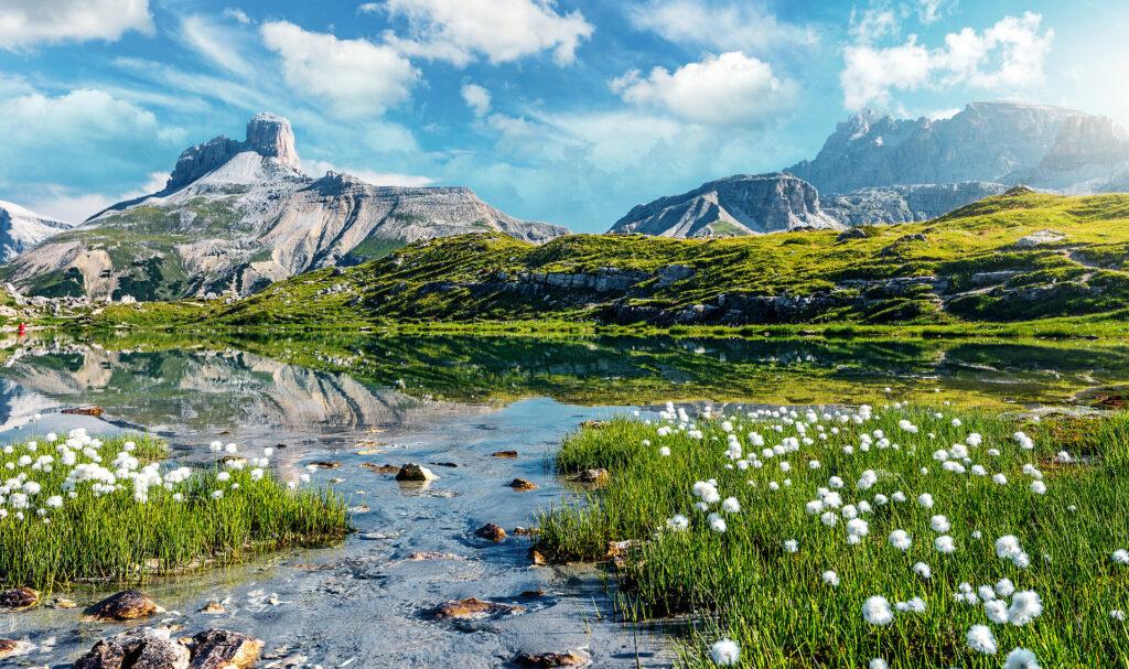 Ehrfürchtige Naturlandschaft, Alpensee mit kristallklarem Wasser und frischem Gras und Blumen, Perfekter blauer Himmel und Berggipfel.