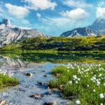 Ehrfürchtige Naturlandschaft, Alpensee mit kristallklarem Wasser und frischem Gras und Blumen, Perfekter blauer Himmel und Berggipfel.